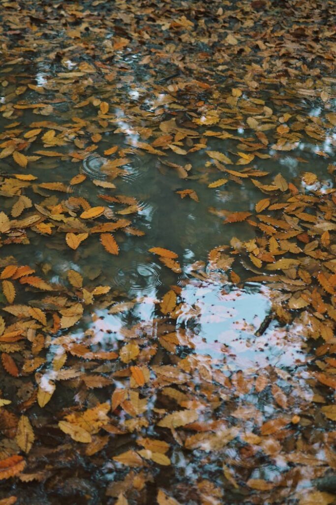 Free stock photo of aesthetic, aesthetic background, aesthetic desktop background